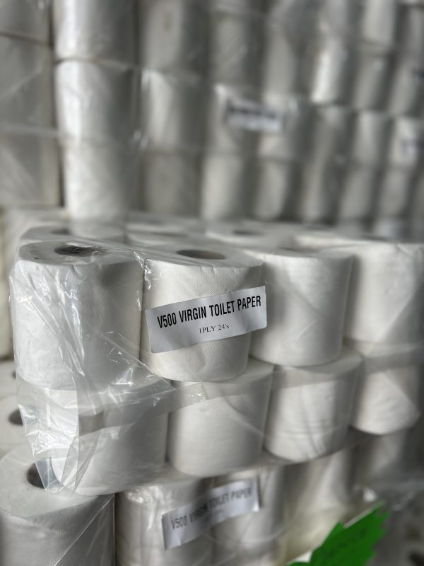 V500 sheets 1 ply 24 pack